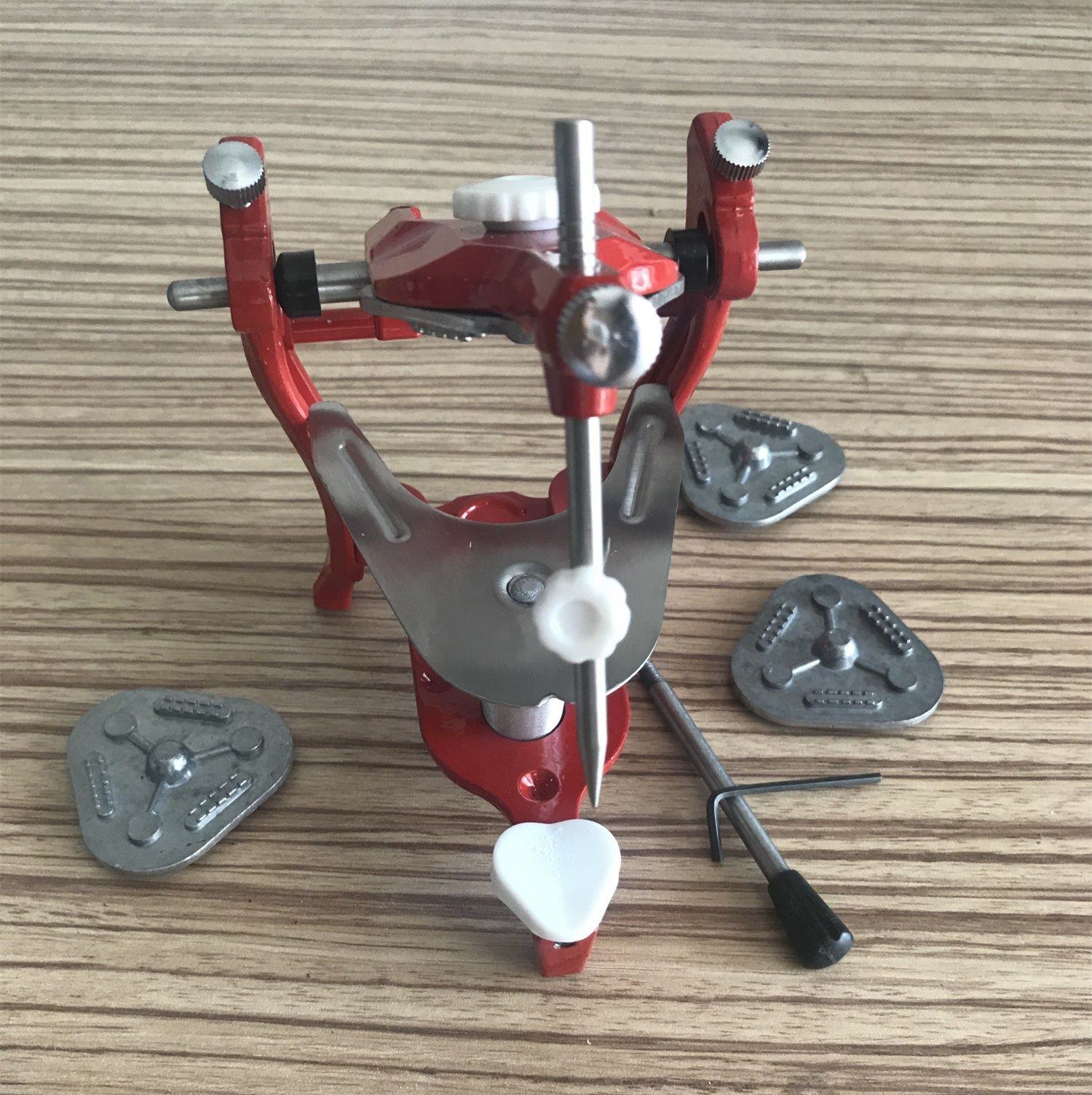 Rote Anatomische Artikulator