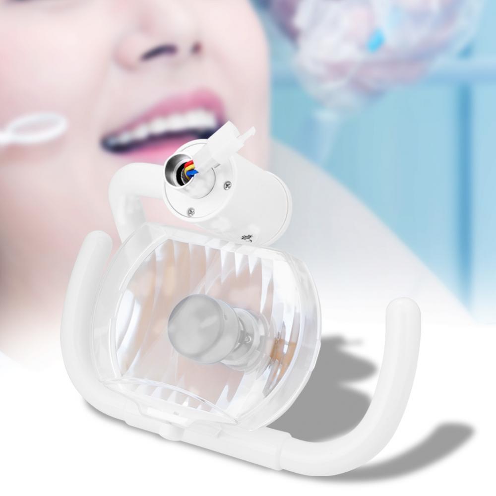 50W Wandbehang Zahnheilkunde Halogen Schattenlos Lampe Mundlicht mit Arm