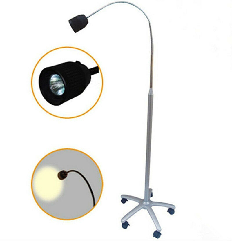 35W Dental Medizinische Halogen-Untersuchungsleuchte Stehende Untersuchungsleuchte