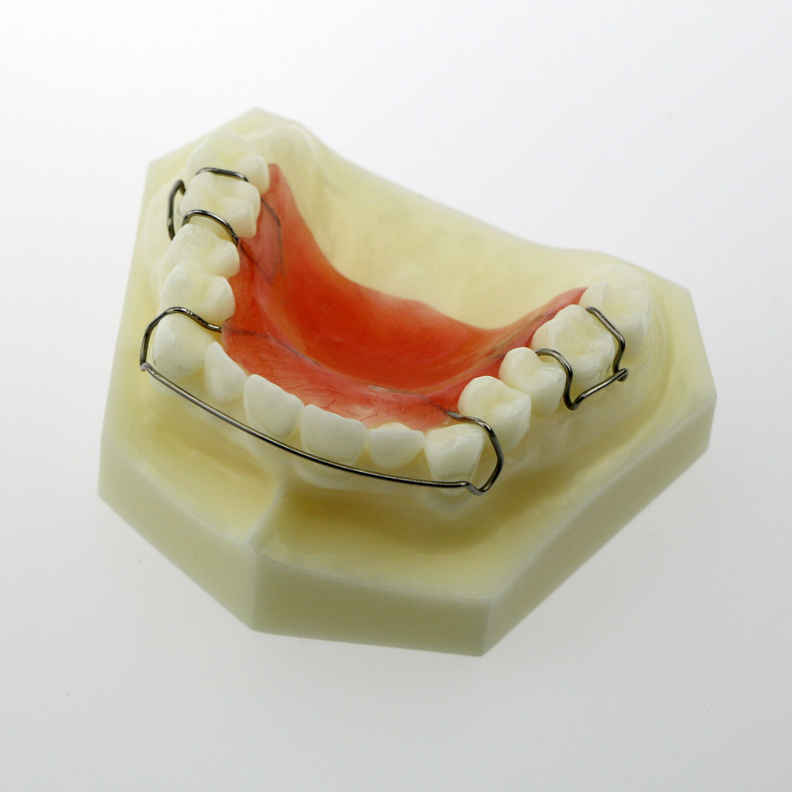 Dentalmodell # 3007 01 - Hawley-Halterungsmodell