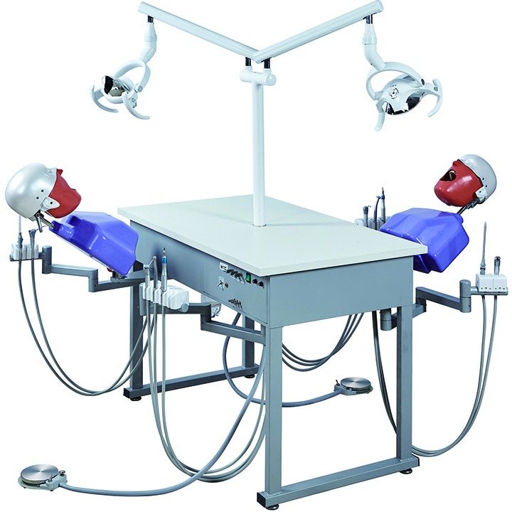 Jingle JG-A4 Phantomköpfe Dentale Simulationseinheiten Patientensimulator