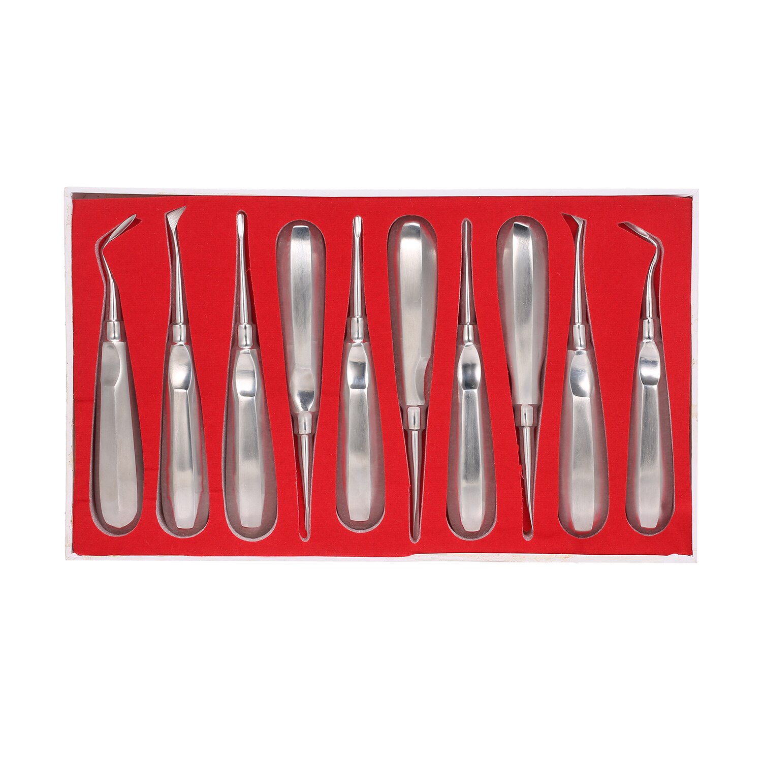 10 x Luxierinstrumente - Beinsche Hebel - Elevatoren - Wurzelheber Kit