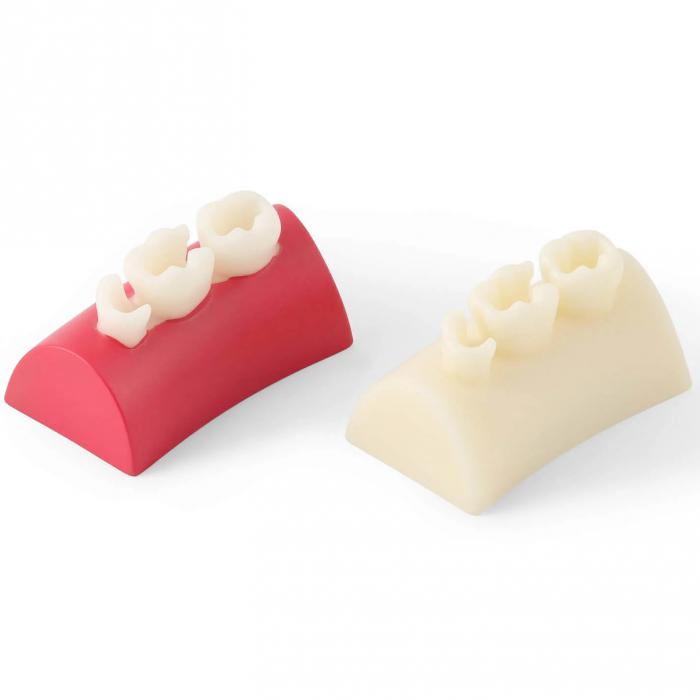 Dental Inlay Übungsblock Komposit-Harz Füllung Zähne