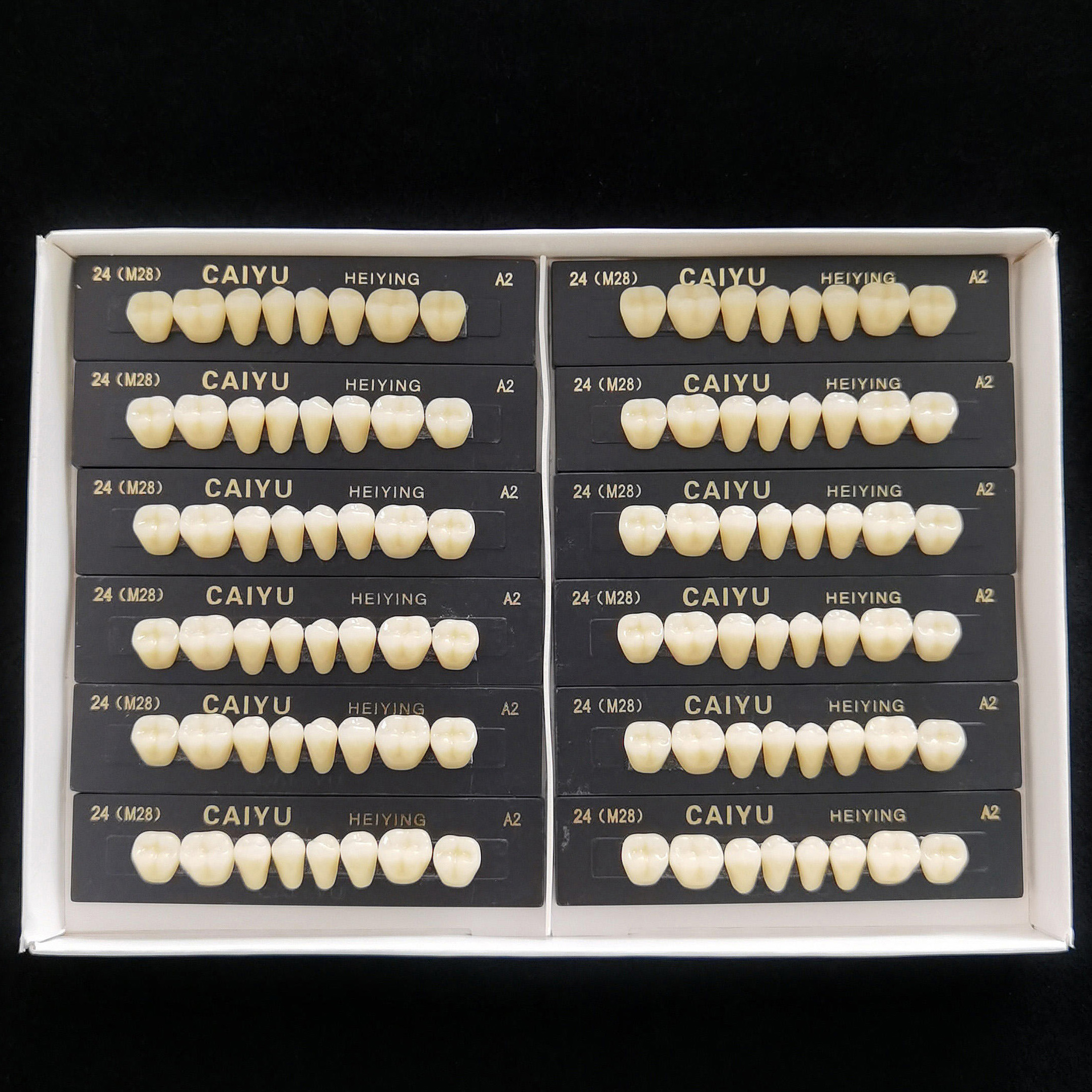 Caiyu Heiying Zahnprothese aus synthetischem Acrylpolymerharz (obere/untere Backenzähne)