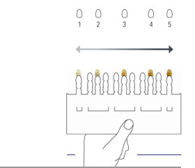 VITA&reg;3D-MASTER Tooth Shade Guide