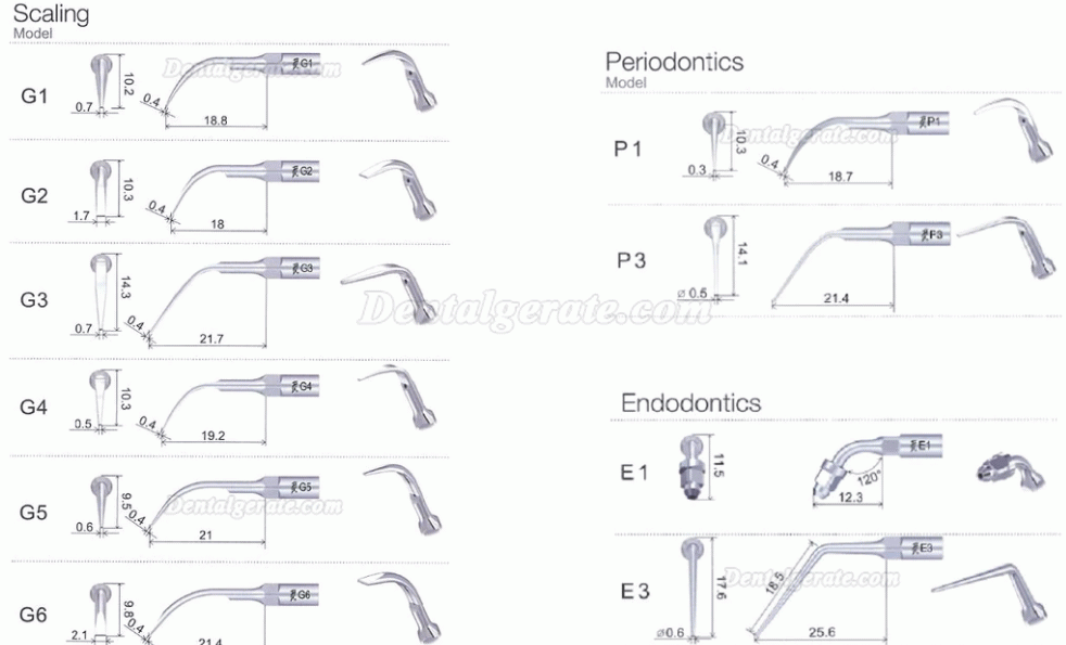 10 Stk Woodpecker P1 P2L P2R P2LD P2RD P3 P3D P4 P4D UltraschallScaler Spitze 10 Stk Woodpecker P1 P2L P2R P2LD P2RD P3 P3D P4 P4D UltraschallScaler Spitze