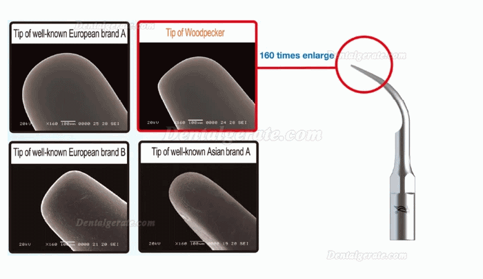 10 Stk Woodpecker P1 P2L P2R P2LD P2RD P3 P3D P4 P4D UltraschallScaler Spitze 10 Stk Woodpecker P1 P2L P2R P2LD P2RD P3 P3D P4 P4D UltraschallScaler Spitze