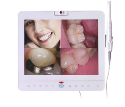 15'Dental Monitor Intraorale Kamera System VGA + VIDEO + HDMI + USB-Anschluss
