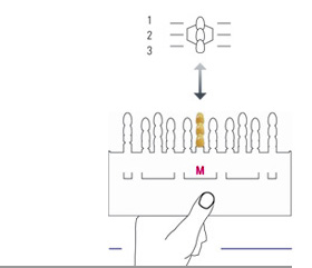VITA&reg;3D-MASTER Tooth Shade Guide