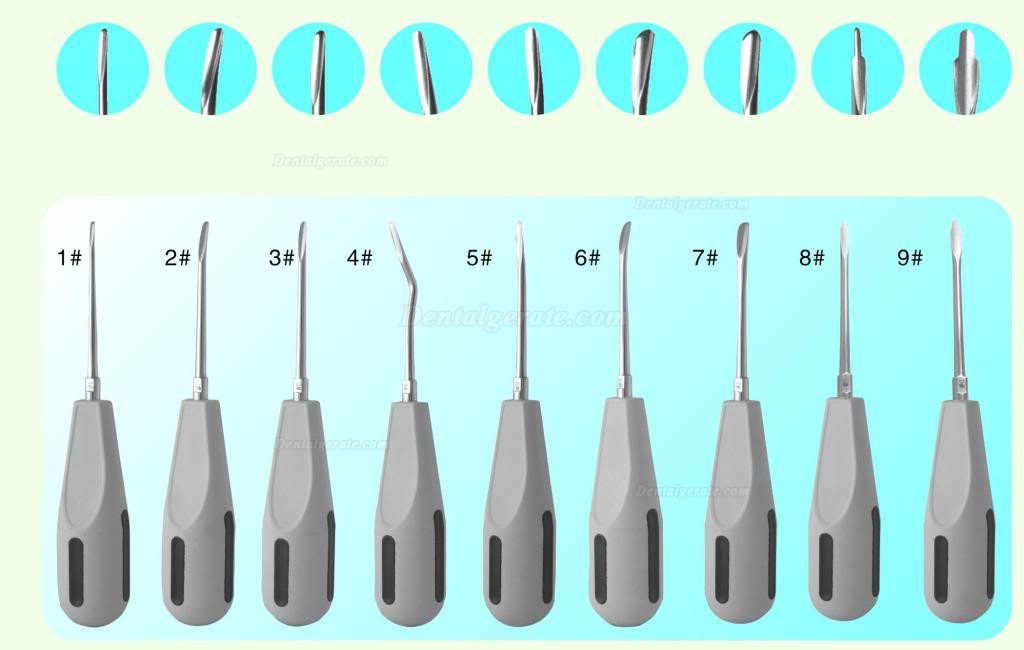 Dental Wurzelheber mit Kunststoffgriff
