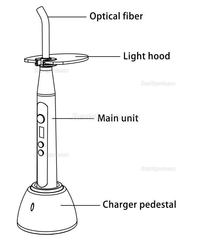 RebormEndo RLED6 Led Polymerisationslampe f&uuml;r Porzellan Laminat Furnier & Kieferorthop&auml;die