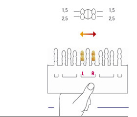 VITA&reg;3D-MASTER Tooth Shade Guide