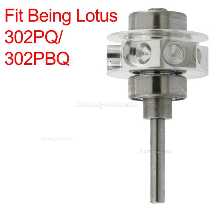 Being 302P Ersatzrotoren für Being Lotus 302 Drehmomentkopf Handstück Being 302P Ersatzrotoren für Being Lotus 302 Drehmomentkopf Handstück