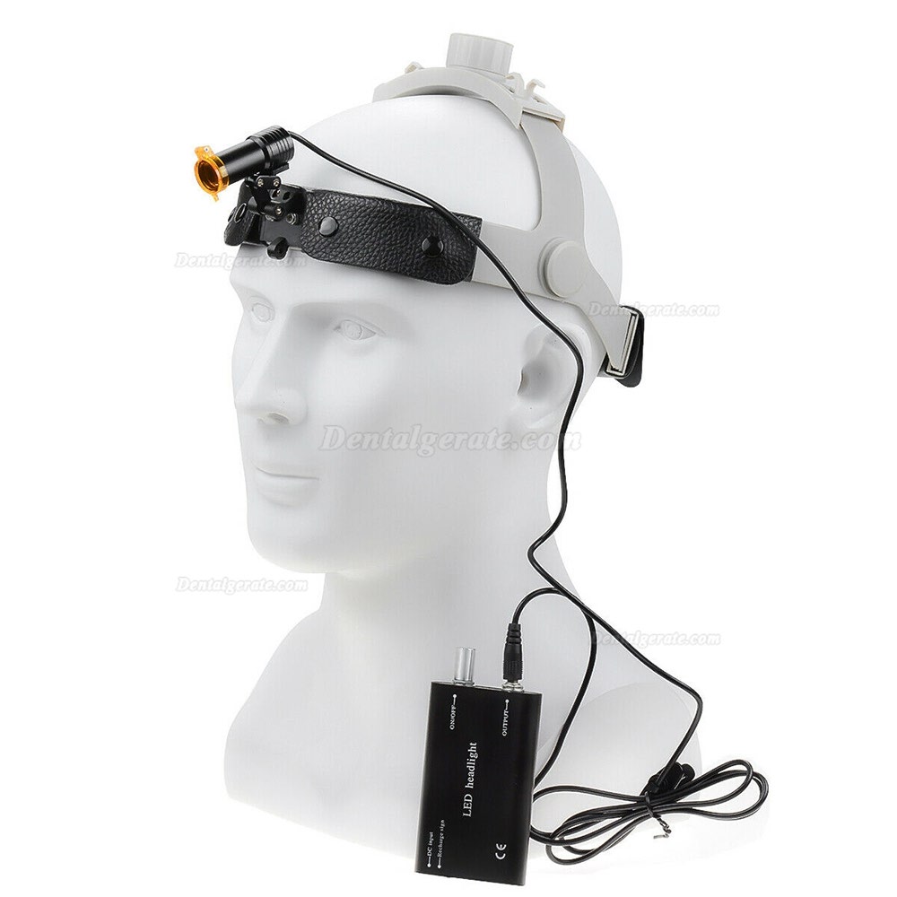 5W LED Dental Medical Scheinwerfer mit Filterkopfbügelscheinwerfer + Aluminiumbox 5W LED Dental Medical Scheinwerfer mit Filterkopfbügelscheinwerfer + Aluminiumbox