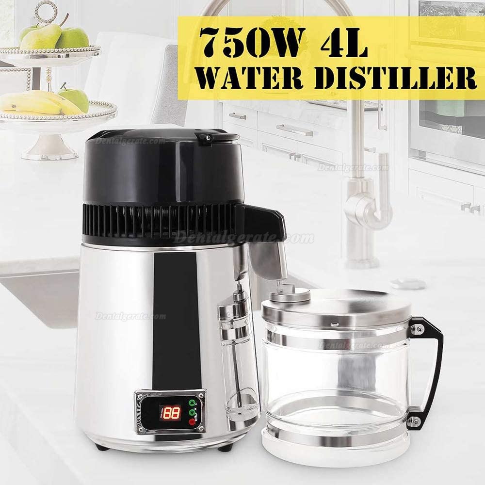 750W 4L Zahnheilkunde Edelstahl Wasserdestillationsgeräte Maschine mit Glaskanne 750W 4L Zahnheilkunde Edelstahl Wasserdestillationsgeräte Maschine mit Glaskanne