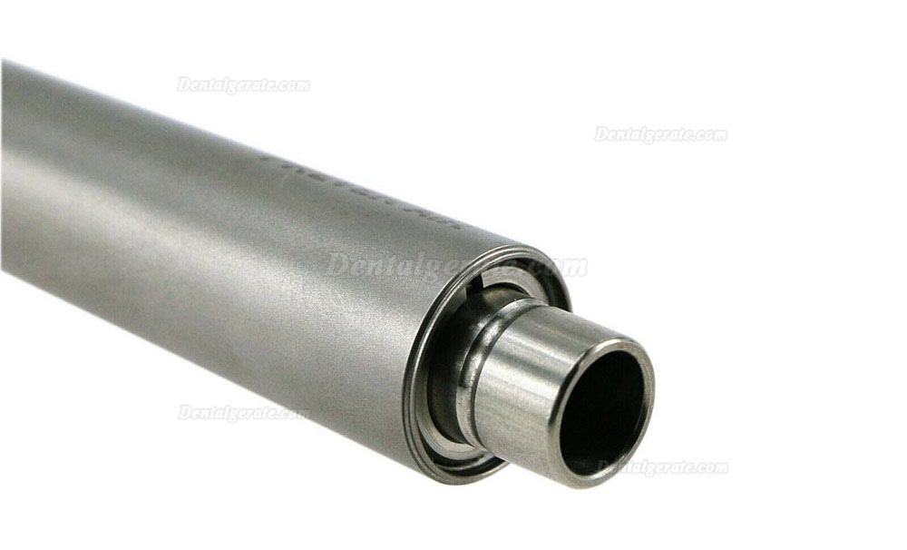 Ersatzkopf für Dental Preven Air Pulverstrahlgerät Dental Luftstrompolierer Ersatzkopf für Dental Preven Air Pulverstrahlgerät Dental Luftstrompolierer