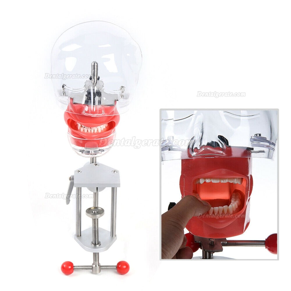 Best® BD-402 Mobile Dentaleinheit + LY LY-L201 Handstück-Kit + Zahnmedizin-Patientensimulator Phantomkopf + LED Polymeri Best® BD-402 Mobile Dentaleinheit + LY LY-L201 Handstück-Kit + Zahnmedizin-Patientensimulator Phantomkopf + LED Polymeri
