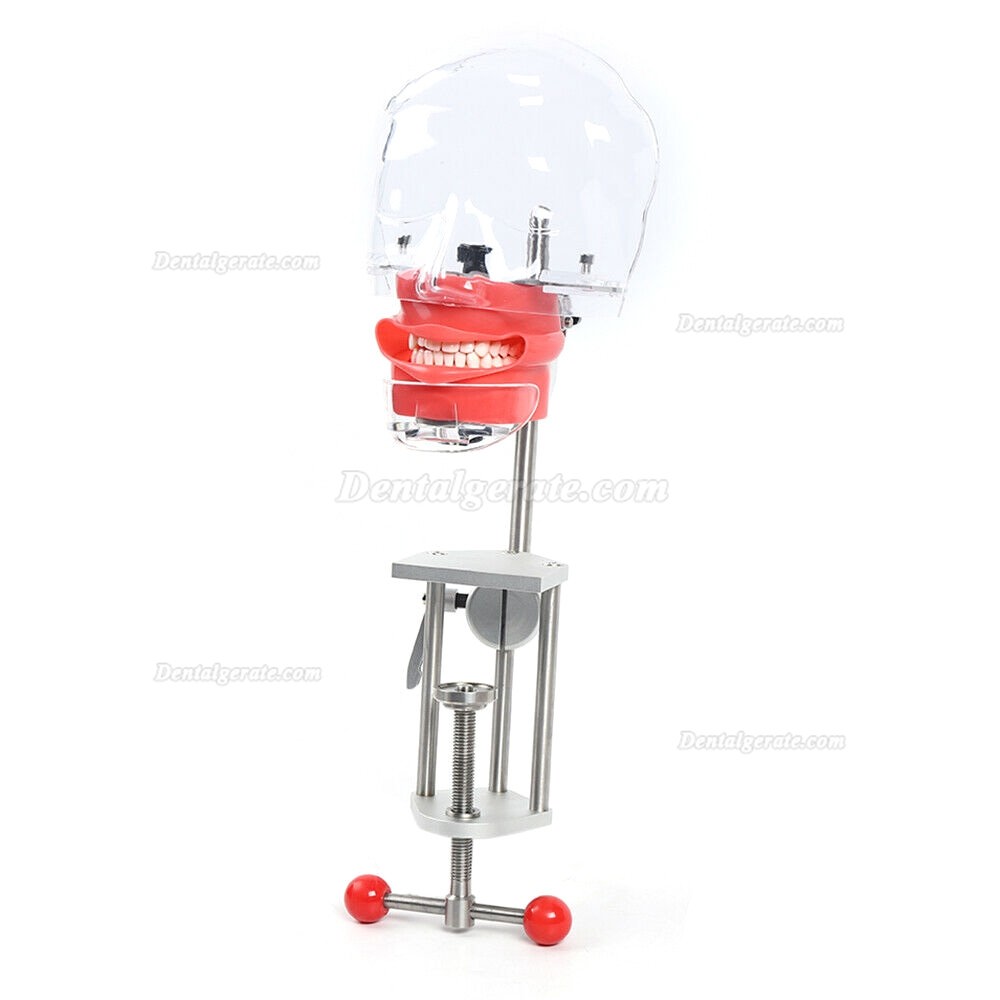Best® BD-402 Mobile Dentaleinheit + LY LY-L201 Handstück-Kit + Zahnmedizin-Patientensimulator Phantomkopf + LED Polymeri Best® BD-402 Mobile Dentaleinheit + LY LY-L201 Handstück-Kit + Zahnmedizin-Patientensimulator Phantomkopf + LED Polymeri