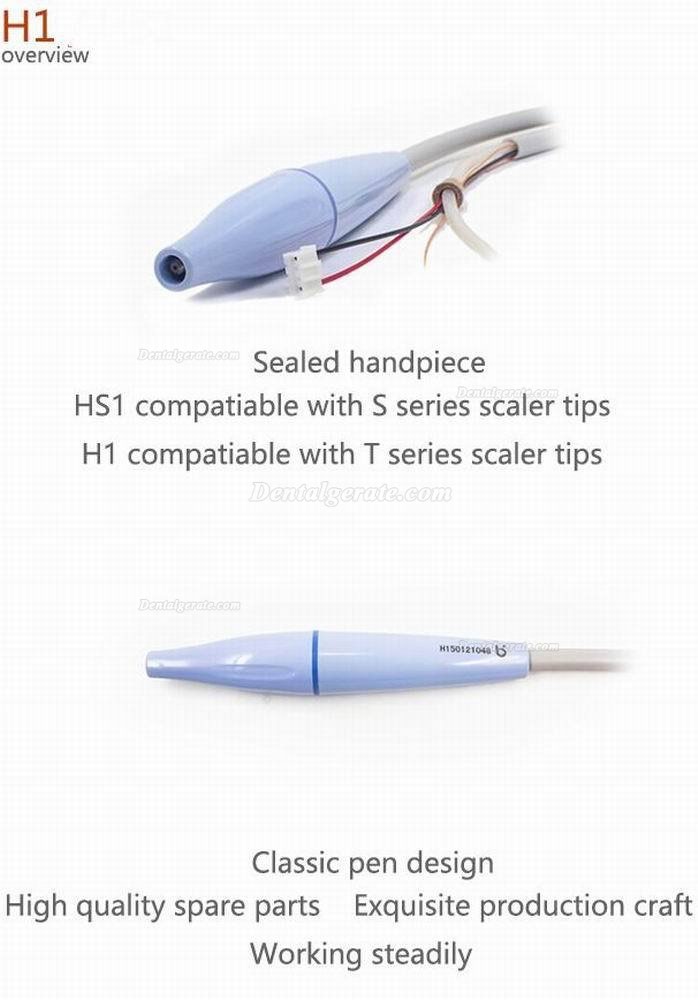 Baolai Dental C5 Eingebauter Ultraschall-Scaler mit H1-Handstück und 4 * Spitzen Baolai Dental C5 Eingebauter Ultraschall-Scaler mit H1-Handstück und 4 * Spitzen