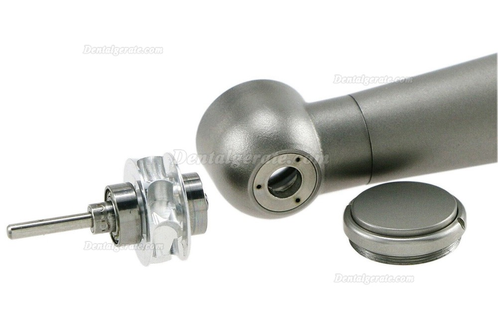 BEING 302PQ-K-Ti Dental Turbine Handst&uuml;ck (Gro&szlig;er Drehmomentkopf) f&uuml;r KAVO Multiflex Lux