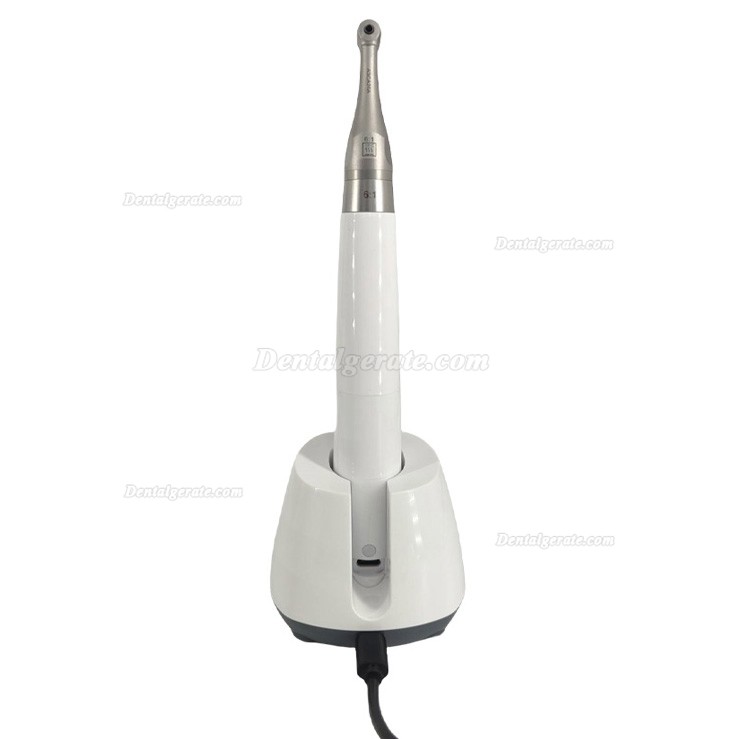 Betterway EP Pro B&uuml;rstenloser Dental Endomotor mit integriertem Apex-Lokalisierer