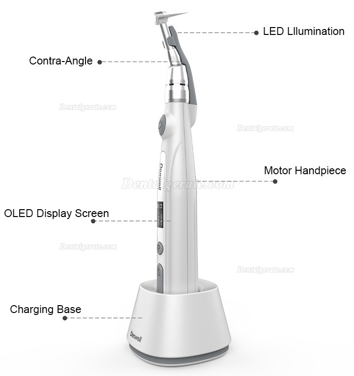 Beyond Endowell-3 Dental Endo Motor Cordless 16:1 Endodontic Handpiece
