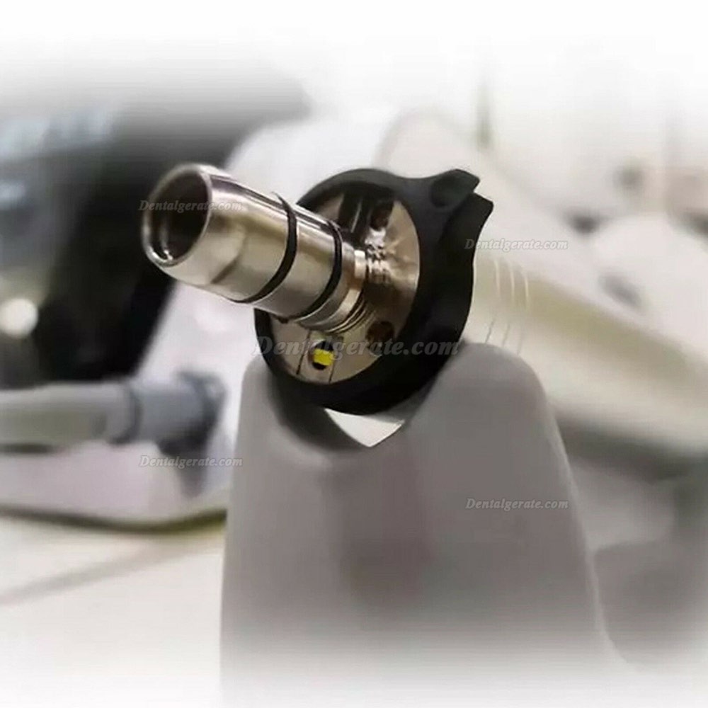 Yudendent COXO Zahnimplantatsystem C-Sailor Pro Bürstenloser Chirurgischer Motor LED-Faseroptik Yudendent COXO Zahnimplantatsystem C-Sailor Pro Bürstenloser Chirurgischer Motor LED-Faseroptik