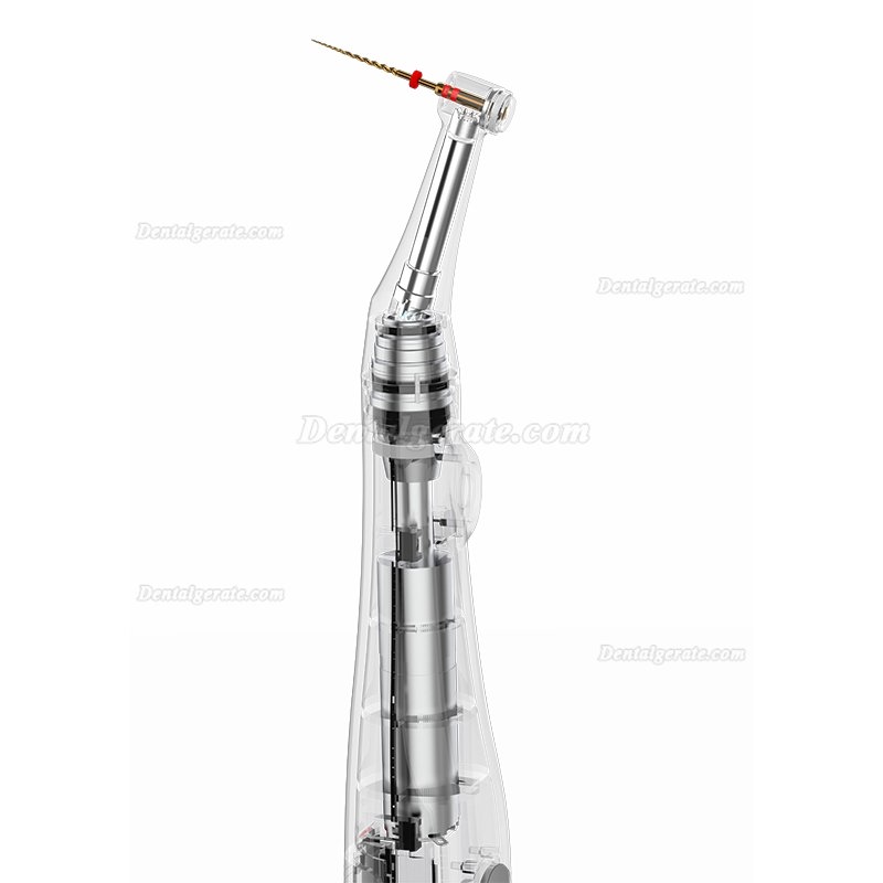 YUSENDENT COXO C Smart Mini Endodontischer Endo Motor YUSENDENT COXO C Smart Mini Endodontischer Endo Motor