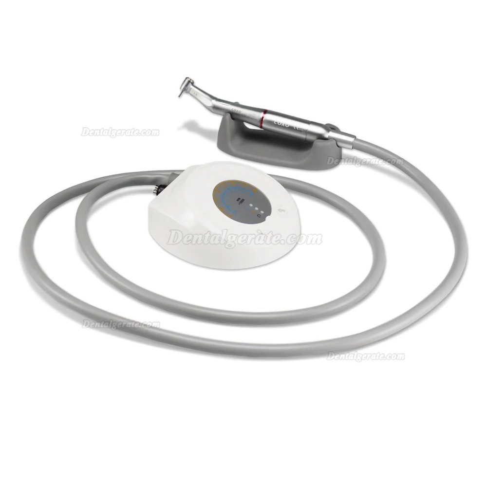 COXO C-PUMA Mini Endodontischer Mikromotor mit 1:5 Rot Winkelst&uuml;ck