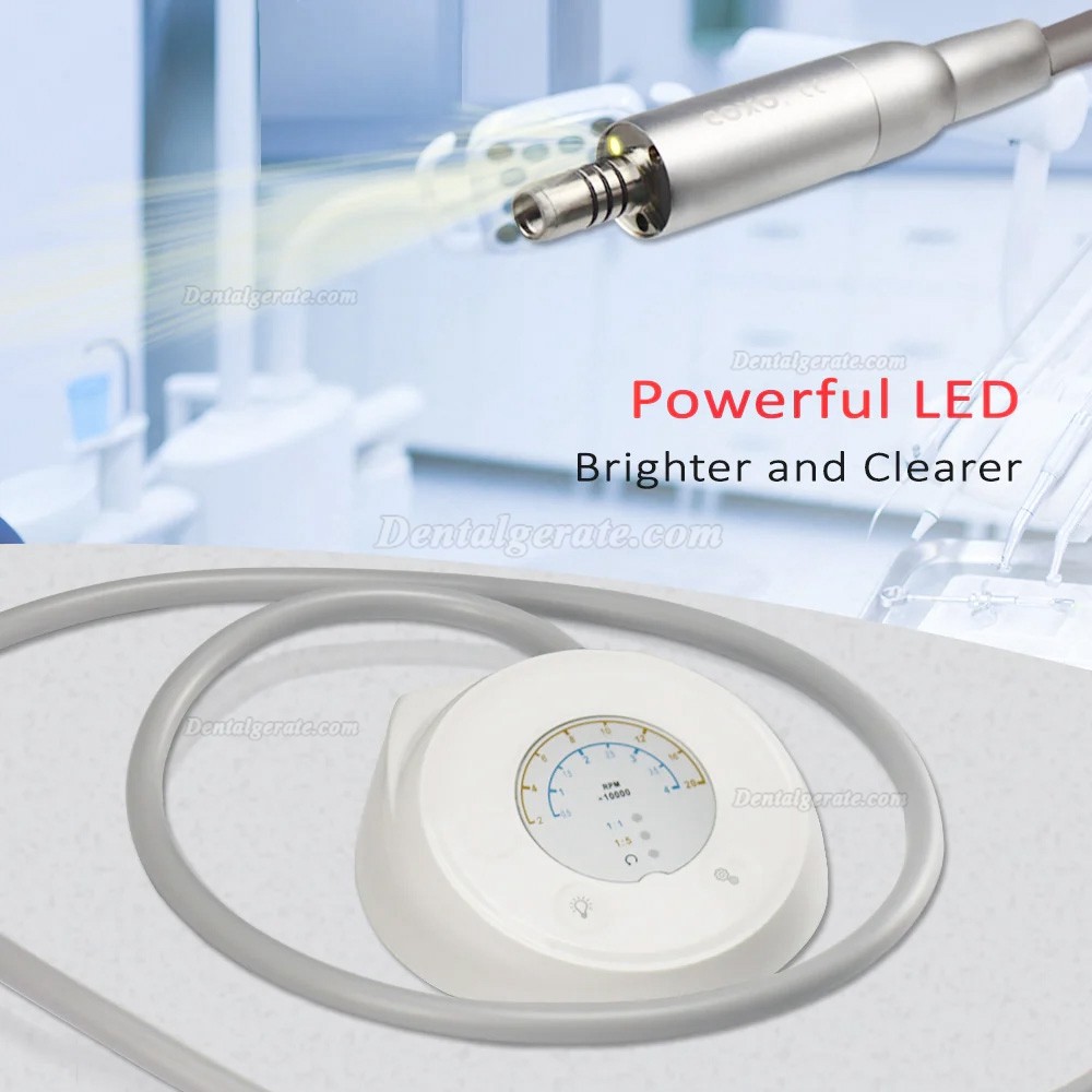 COXO C-PUMA Mini Endodontischer Mikromotor mit 1:5 Rot Winkelst&uuml;ck