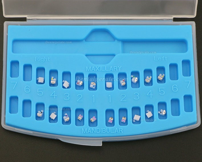 1 Box Dental Kieferorthop&auml;dische Selbstligierende Keramik Brackets St&auml;nder Roth 022 345 Haken