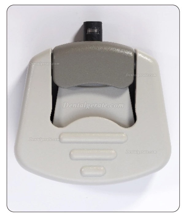 Gigaa Laser CHEESE II Mini Dental Diodenlaser 7W-15W