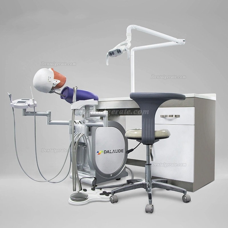 Dalaude Dentale Simulationseinheiten Zahnmedizin-Patientensimulator
