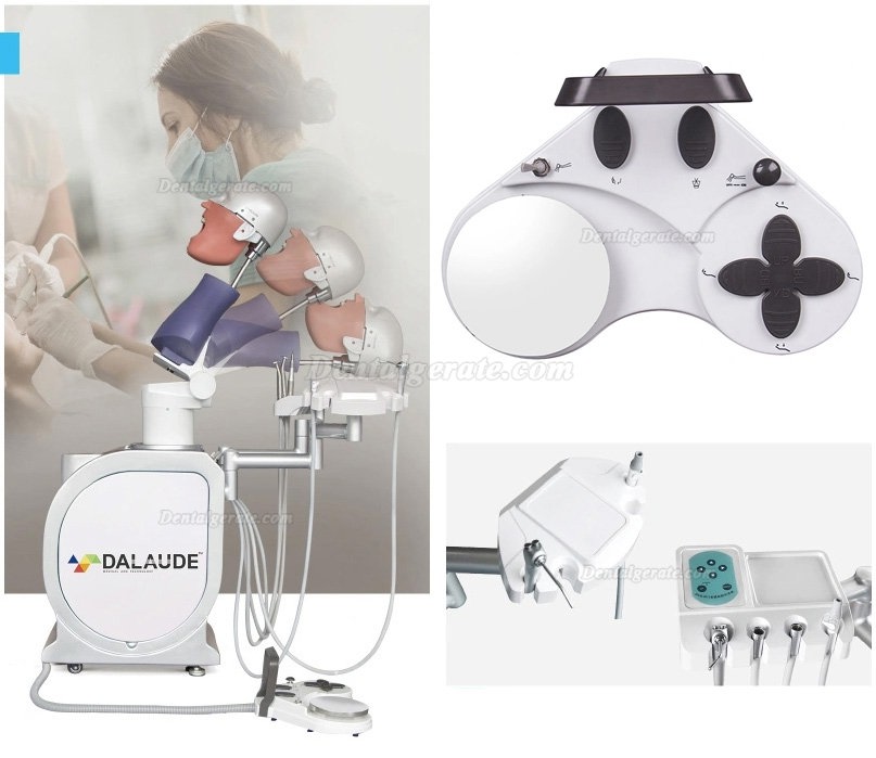 Dalaude Dentale Simulationseinheiten Zahnmedizin-Patientensimulator