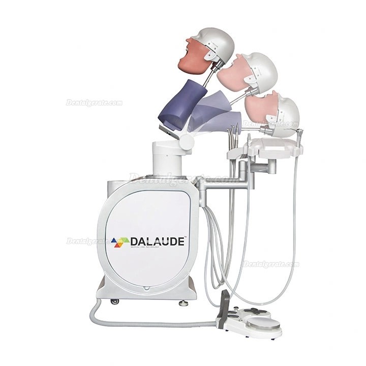 Dalaude Dentale Simulationseinheiten Zahnmedizin-Patientensimulator