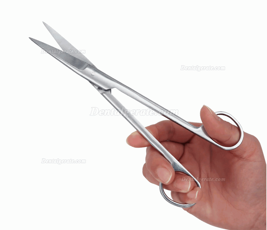 14 cm / 16 cm / 18 cm zahnschere chirurgische Edelstahlschere 14 cm / 16 cm / 18 cm zahnschere chirurgische Edelstahlschere