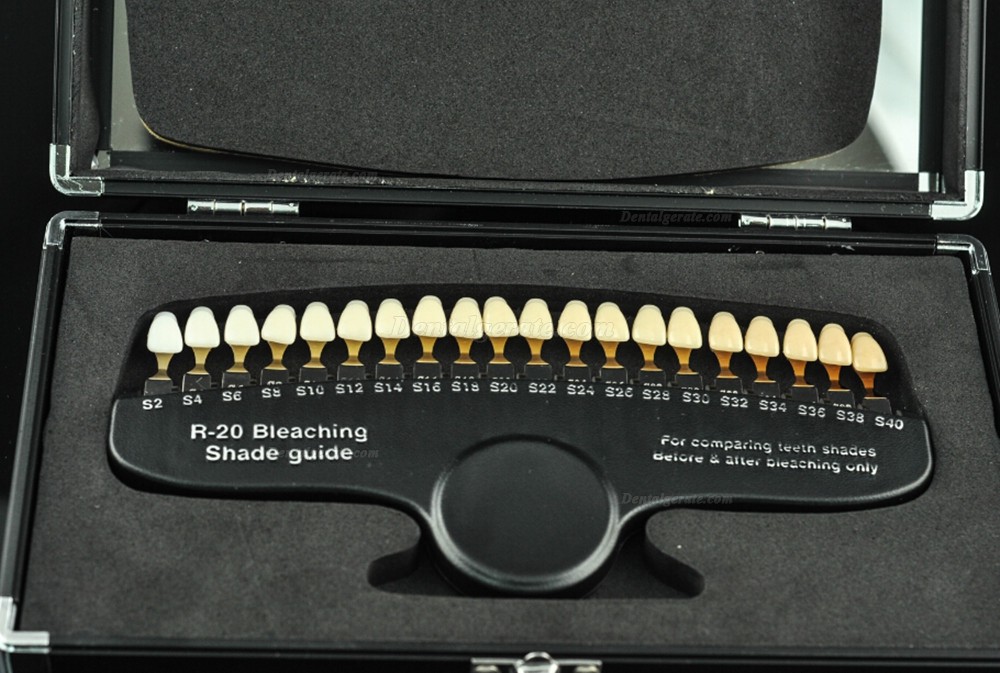 20 Farben Zahnfarbe Farbring f&uuml;r Dentalkeramik (zahnfarbskala)