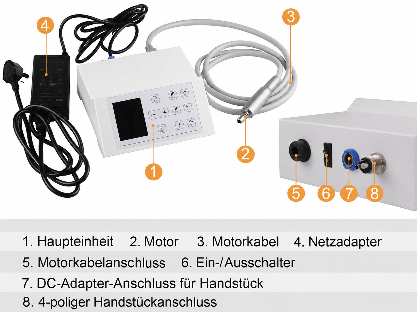 Zahn&auml;rztlicher b&uuml;rstenloser elektrischer Mikromotor mit LED, 2000&ndash;40.000 U/min, 4-Loch-Anschluss