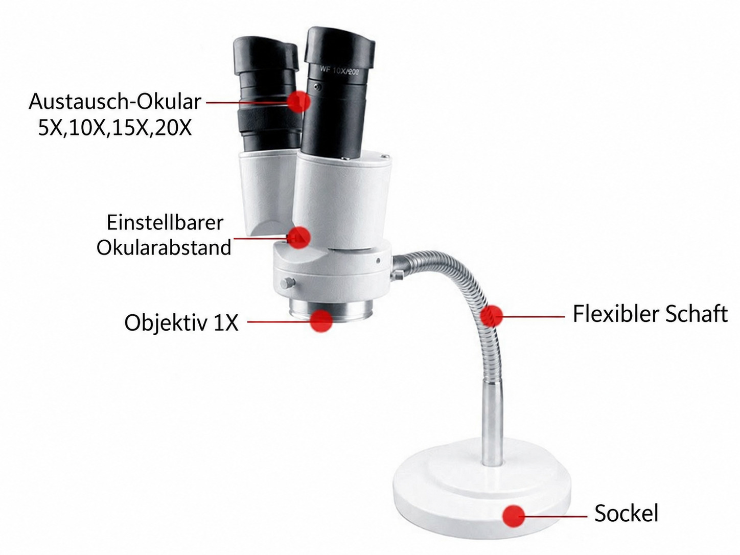 HAYEAR Binokulares Mikroskop mit 10-facher Vergr&ouml;&szlig;erung f&uuml;r Dentallabore, mit verstellbarer LED-Beleuchtung