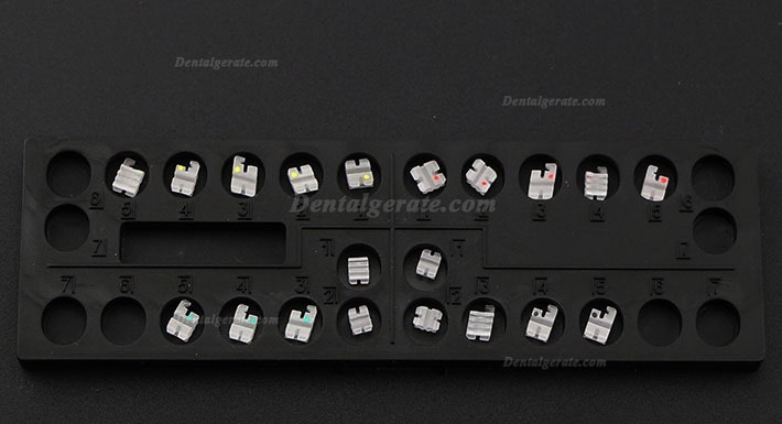 Dental Kieferorthop&auml;dische Keramik Brackets St&auml;nder Slot Roth 022 345 Haken
