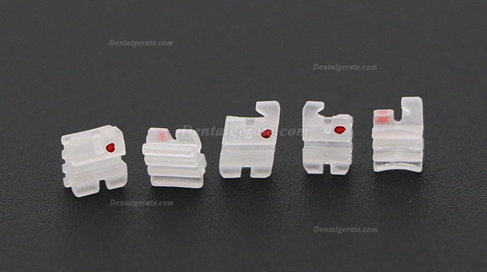 Dental Kieferorthop&auml;dische Keramik Brackets St&auml;nder Slot Roth 022 345 Haken