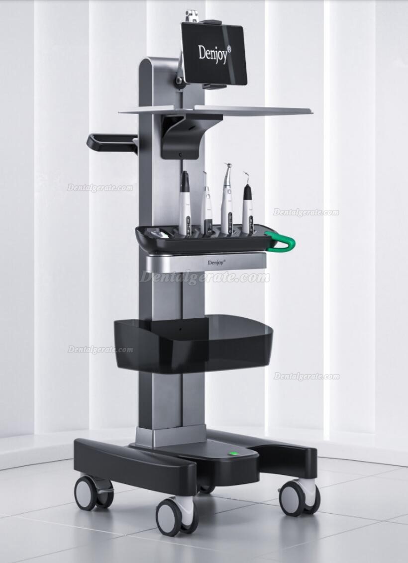 Denjoy MeteEndo Dental Endo Integriertes System (mit Meta Fill/Meta Pex/Meta Motor/Meta Pulp/Meta Pack) Denjoy MeteEndo Dental Endo Integriertes System (mit Meta Fill/Meta Pex/Meta Motor/Meta Pulp/Meta Pack)