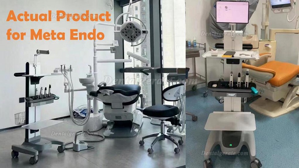 Denjoy MeteEndo Dental Endo Integriertes System (mit Meta Fill/Meta Pex/Meta Motor/Meta Pulp/Meta Pack) Denjoy MeteEndo Dental Endo Integriertes System (mit Meta Fill/Meta Pex/Meta Motor/Meta Pulp/Meta Pack)