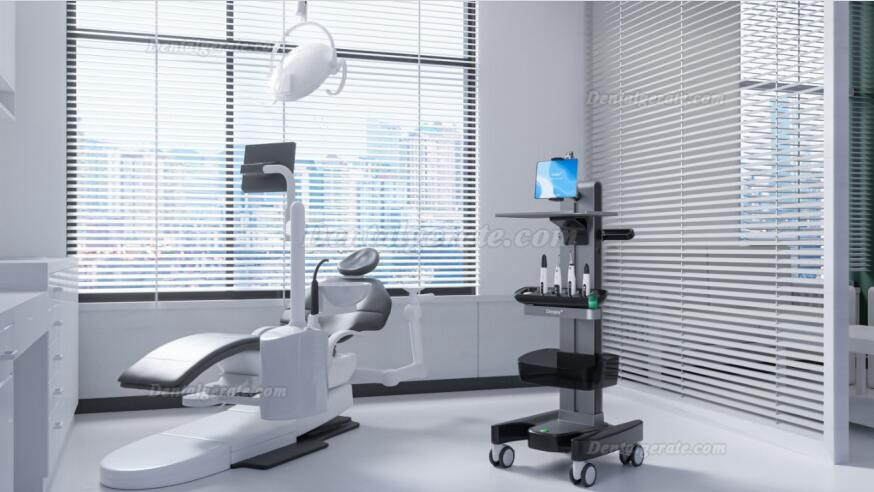 Denjoy MeteEndo Dental Endo Integriertes System (mit Meta Fill/Meta Pex/Meta Motor/Meta Pulp/Meta Pack) Denjoy MeteEndo Dental Endo Integriertes System (mit Meta Fill/Meta Pex/Meta Motor/Meta Pulp/Meta Pack)