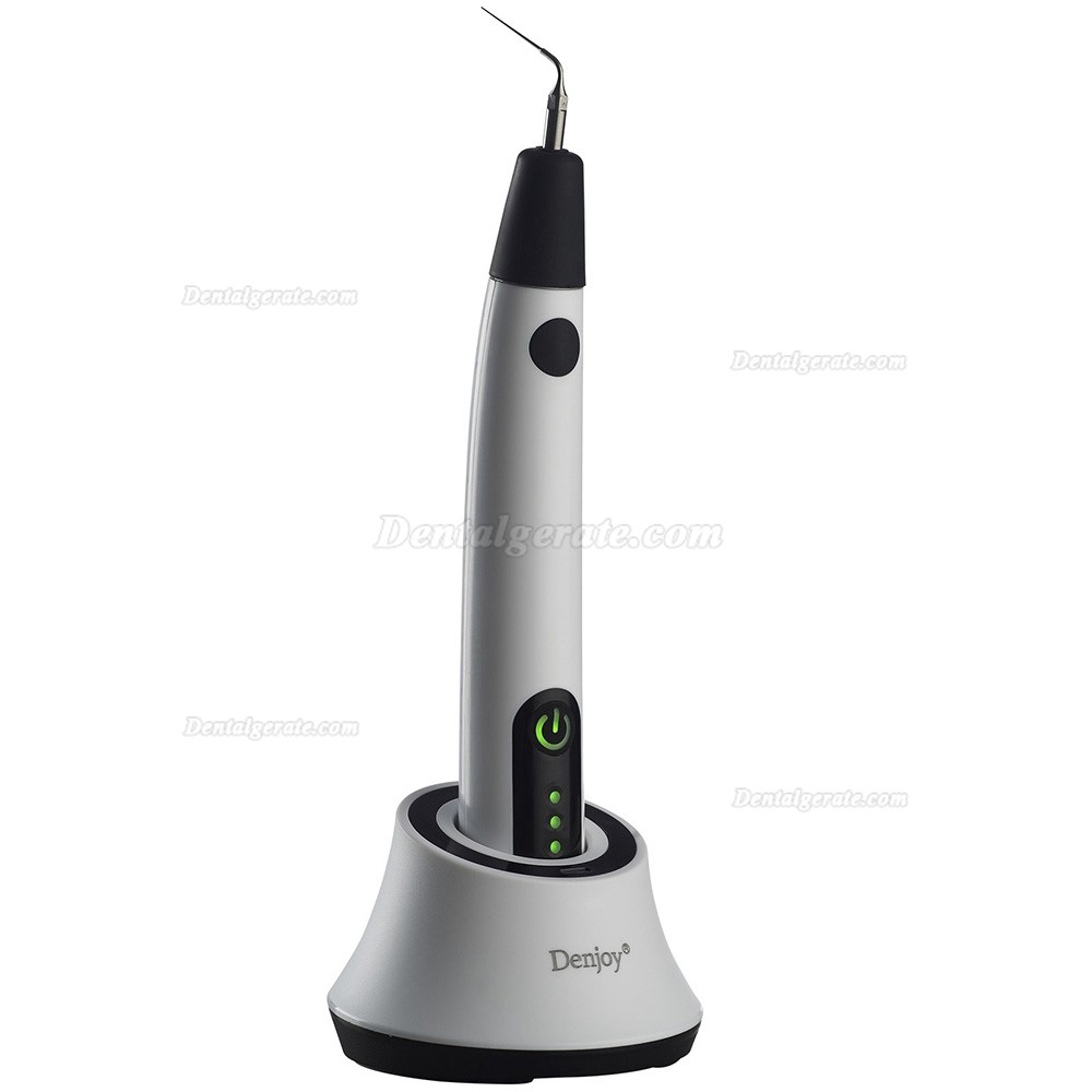 Denjoy iUe1 Ultrasonic Activator Endoactivator (Endo Activator Handst&uuml;ck)