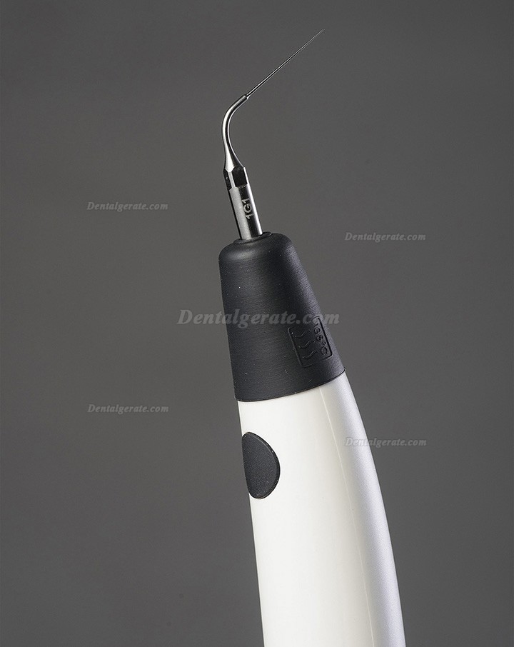 Denjoy iUe1 Ultrasonic Activator Endoactivator (Endo Activator Handst&uuml;ck)