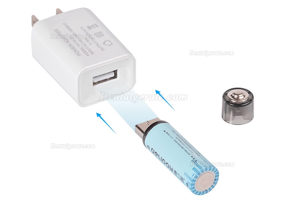 Dental Ultrasonic Activator Endoactivator mit 60 Stk. Wurzelkanalsp&uuml;ler Spitzen
