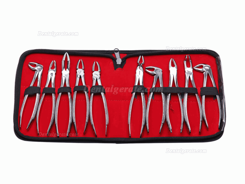 10 St&uuml;ck / Set Erwachsene Extraktionszangen , Zahnzange f&uuml;r Zahnarzt (mit Toolkit)