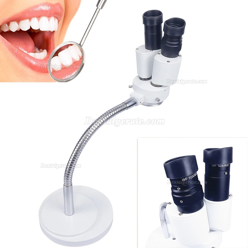 HAYEAR Binokulares Mikroskop mit 10-facher Vergr&ouml;&szlig;erung f&uuml;r Dentallabore, ohne LED-Lampe