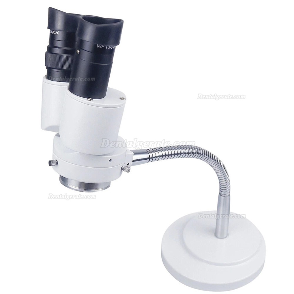 HAYEAR Binokulares Mikroskop mit 10-facher Vergr&ouml;&szlig;erung f&uuml;r Dentallabore, ohne LED-Lampe